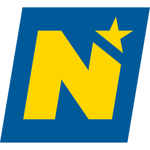 NOE Logo